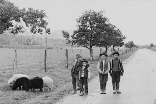Rumänien. Maramures. Vier Jungen an einer Straße