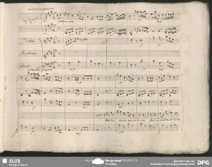 Cavatina: "Bella rosa porporina"