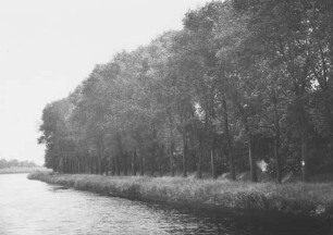 Bewuchs am Sacrow-Paretzer-Kanal (SKP) 1942/Brandenburg