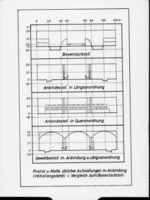 Profile und Maße üblicher Aufstallungen mit Anbindung (Mittellangstand) im Vergleich zum Boxenlaufstall