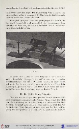 III. Die Wiedergabe des Präparates