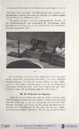 III. Die Wiedergabe des Präparates