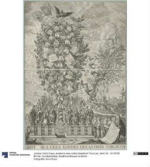 Austriaca olea contra oleastrum Turcicum