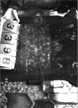 Grabstein 339 (Index: 99752536) Material: Sandstein Zustand: abgeblättert mit Textverlust Maße HxBxT: 163x49x28 cm Beschreibung: eingezog. Rundbogenabschl. m. stilisiert. Mittel-u. Eckakroteren, Schrift eingetieft Symbolik: Ranken: Grabstein 339B