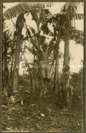 Älterer Wadschagga-Junge beim Schaukeln zwischen zwei Palmen