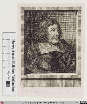 Bildnis Andreas Gammersfelder