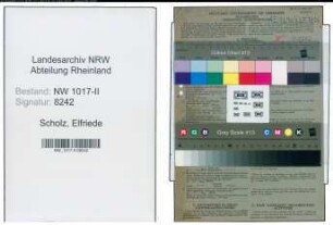 Entnazifizierung Elfriede Scholz , geb. 28.03.1907 (Bueroangestellte)