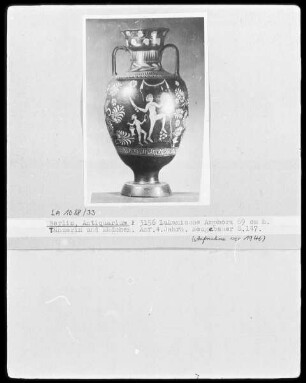 Amphora