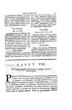 Caput VIII. De verige montis Volaterrarum, ejusque arenulis conchyliferis