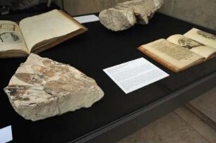 SLUB, Ausstellung "Gespräche mit der Erde. Geowissenschaften in Sachsen" : Ausstellungspräsentation im Buchmuseum. Ausstellungsvitrine mit Kräuterabdrücken