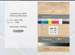 Entnazifizierung Mathias Repplinger, geb. 05.04.1895 (Postschaffner)