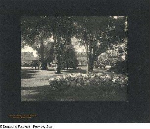 Foto, Del Monte