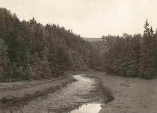 Erzgebirge. Tal der Freiberger Mulde oberhalb Kleinvoigtsberg