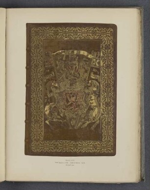 Plate XVII.