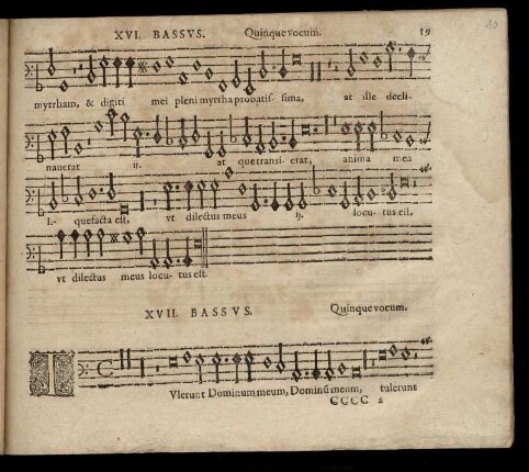 Tulerunt Dominum meum