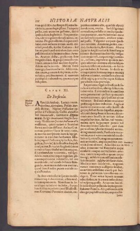 Caput XI. De Forficula.