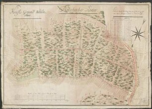 Krafts-Grund-Wald. 1800. Rohrbacher Revier