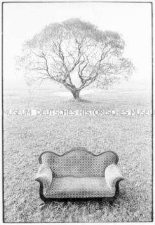 Sofa in Landschaft mit Baum (Altersgruppe 18-21)