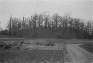 Alte Schanze bei Belgern. Ringwall auf Quarzpfahl. : Hrodźišćo pola Běłeje Hory.