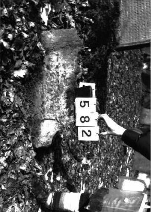 Grabstein 582