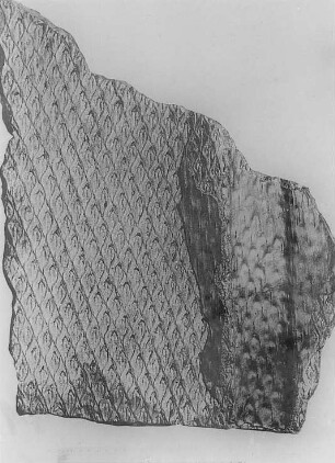 Lepidodendron dichotomum (R. Potonié) : Geologie | Kohlengeologie | Entstehung der Kohle