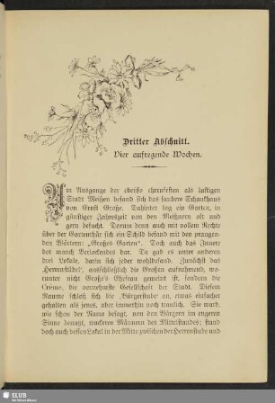 Dritter Abschnitt : Vier aufregende Wochen