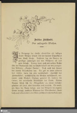 Dritter Abschnitt : Vier aufregende Wochen