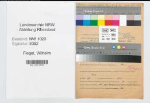 Entnazifizierung Wilhelm Fiegel , geb. 19.07.1911 (Arbeiter)