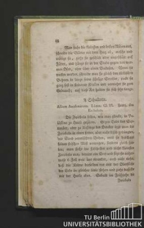 Schalotte. Allium ascalonicum. Linn. Cl. VI. Franz. des eschalots.