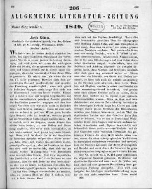 Numero 206