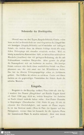 Nebenreihe der Brachiopoden