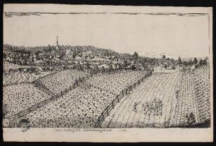 Das Ritterguth Dürnmungenaw 1702. - Dürrenmungenau