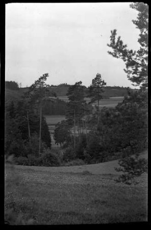 Waldlandschaft bei Schmalzbergle, Gammertingen, Flora Bader "Ohrenmitzeler-Täle"