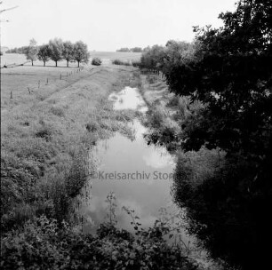 Heilsau: Verkrautung im Wasser: rechts Büsche: links angrenzende Wiese: hinten Baumreihe und Wiesen