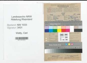 Entnazifizierung Carl Watty , geb. 08.09.1904 (Kaufm.Angest.)