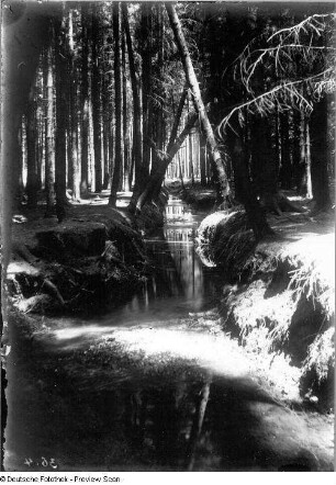 Waldbach