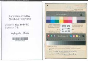Entnazifizierung Maria Wylegalla , geb. 14.06.1913 (Schulgehilfin)