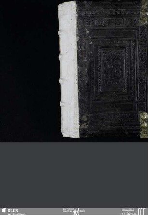 Psalteriu[m] dauidis: cum Hymnis ex originali haud modica diligentia emendatum
