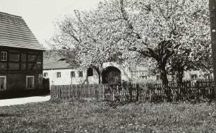 Altzitzschewig. Dorfplatz zur Baumblüte