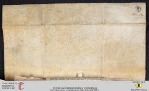 Text Rückseite (Urk. Lehmann 329)