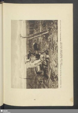 Das Schlachtfeld bei Martinpuich (September 1916)
