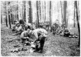 Rekruten sitzen im Wald und machen eine Pause (Altersgruppe 18-21)