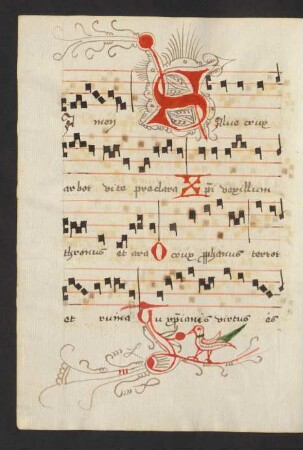 Fleuronnée-Initiale S und Ranke mit Vogel