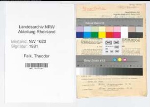 Entnazifizierung Theodor Falk , geb. 11.02.1904 (Krankenkasseninspektor)