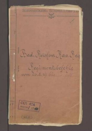 Bildung der Badischen Reichswehr-Brigade 14, Befehle des Kavallerie-Regiments 113