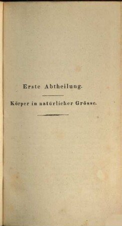 Anatomischer Atlas des menschlichen Körpers in natürlicher Größe, Lage und Verbindung der Theile in 84 Tafeln und erklärendem Texte, [2]. Erklärung des Anatomischen Atlasses