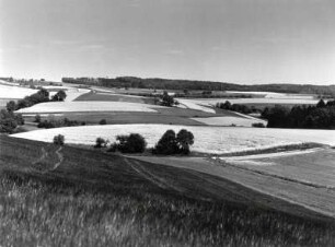 Hohenloher Landschaftsbild mit blühenden Rappsfeldern