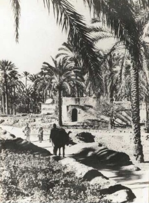 Libyen. Oase Tagiura bei Tripolis. Lehmbauten in Palmenhain