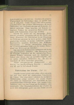 Tuberkulose des Uterus. (Taf. 18.)