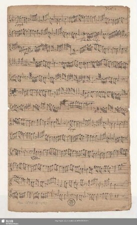 Viol[ino]. 2.